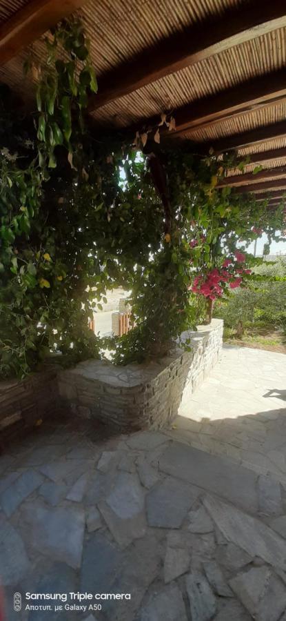 Appartamento Ranias House Andiparo Esterno foto